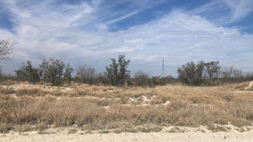 TERRENO EN VENTA EN CIENEGA DE FLORES 107 Hectáreas